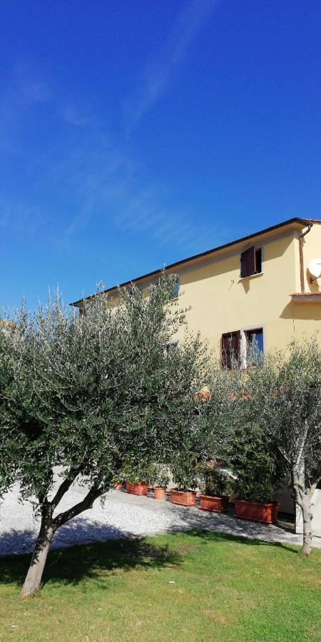 Le Travi Panzió Sarzana Kültér fotó